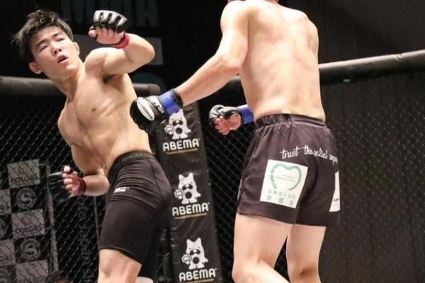 一级方程式日本大奖赛铃鹿赛道维斯塔潘与迈凯伦争冠关键深度分析